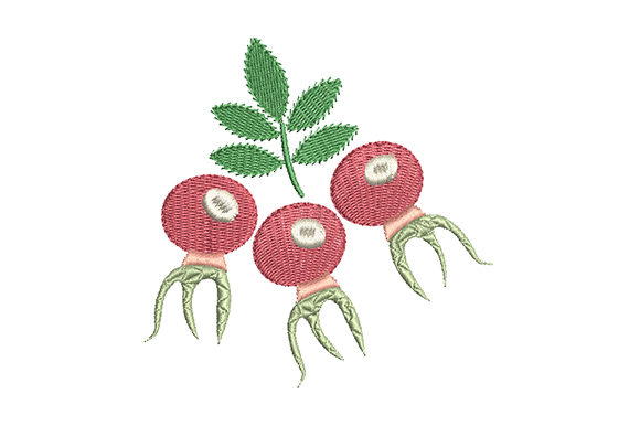 Red Rose Hips with a Green Leaf: Seasonal Embroidery Review